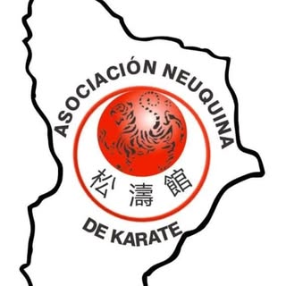 Academia Taekwondo ITF Neuquén